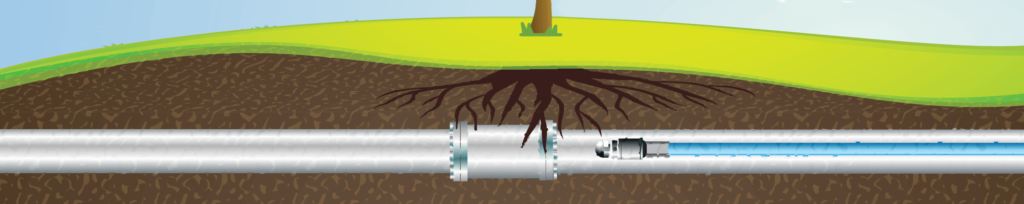 Graphic showing the beginning stages of root intrusion in sewer pipe.