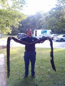 Len the Plumber technician holding up very long and large string of debris that was clogging up a DMV Metro home's sewer line.