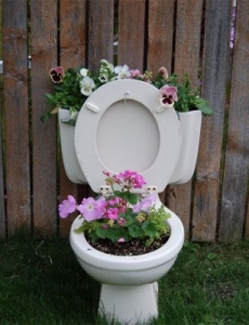 Toilet setting in grassy yard near fence with flowers planted in bowl and tank.