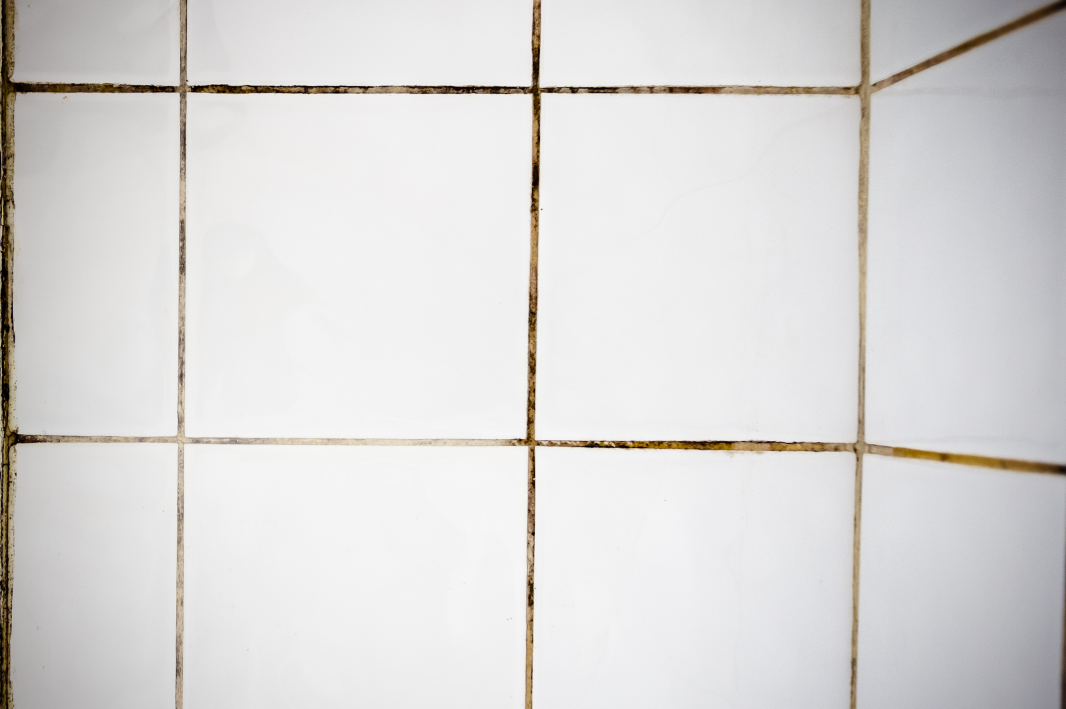 Dirty Grout on bathroom tile