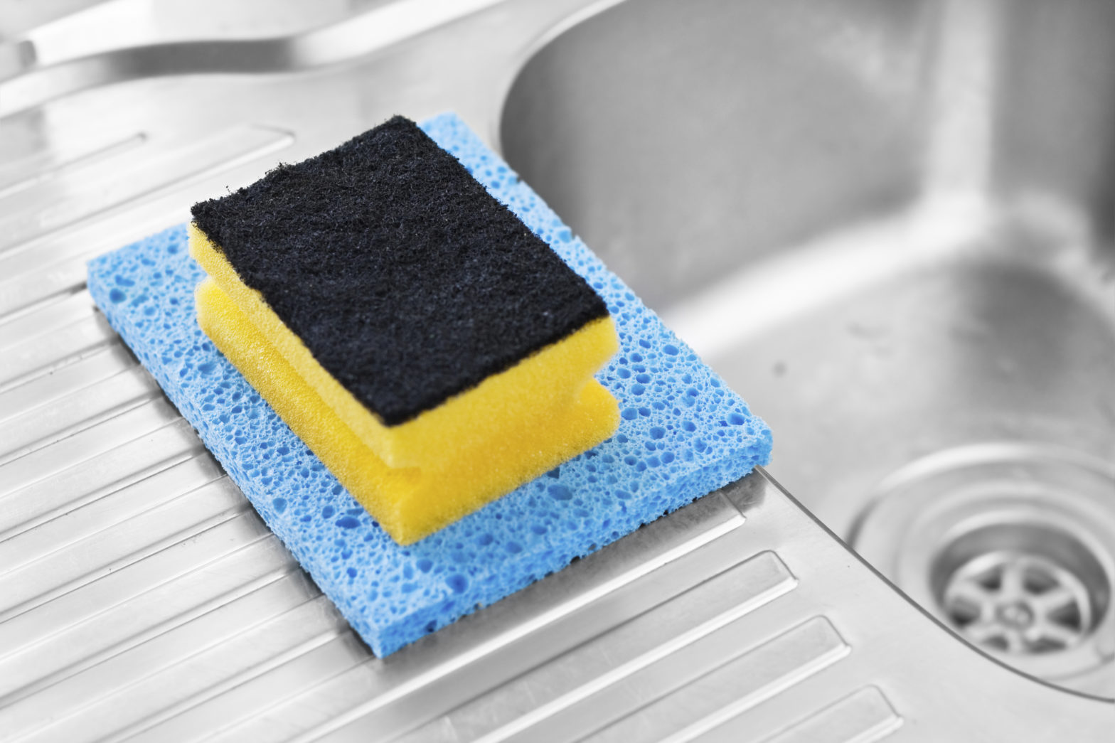 kitchensponge Len The Plumber