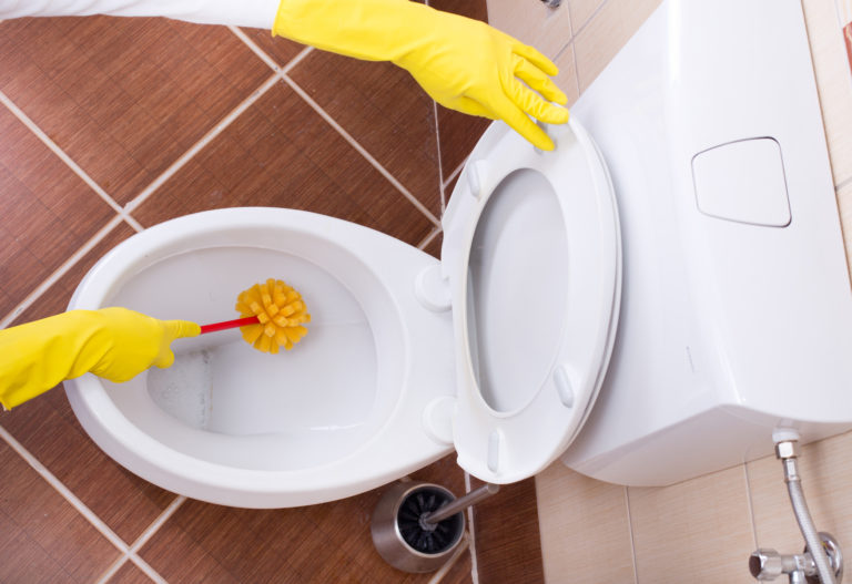 Woman cleaning toilet bowl - Len The Plumber