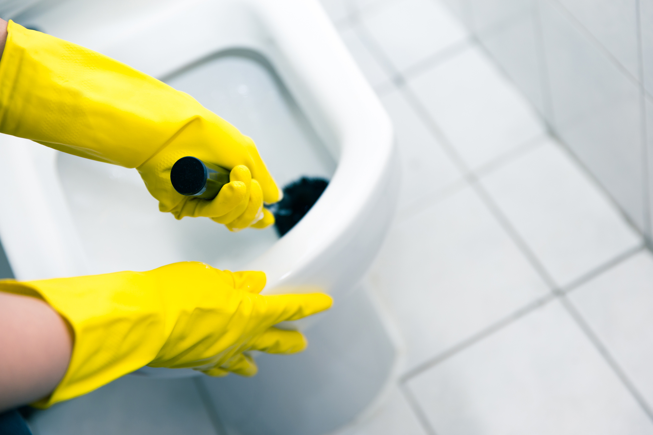 How to Clean a Toilet the Right Way