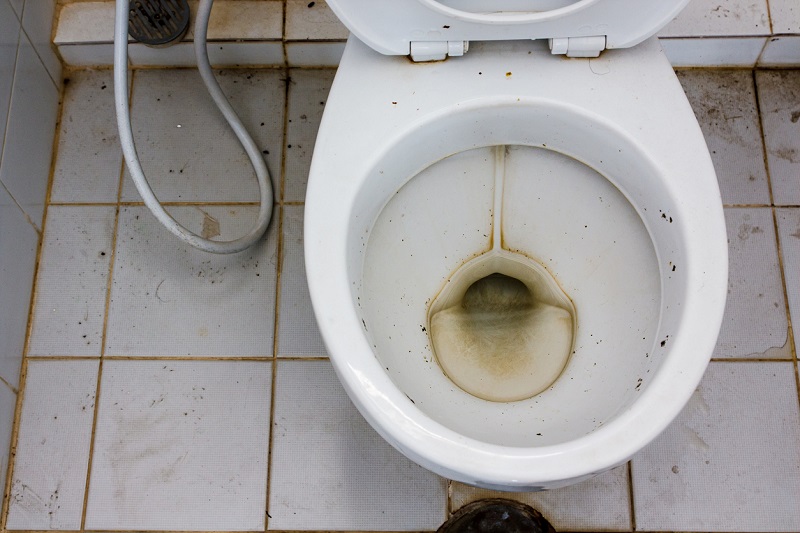 replacing your old toilet can save you money and prevent plumbing emergencies 