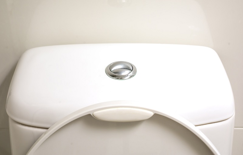 toilet flush whistle why water fix does pressure whistling noise rainwater flushing tank toilets button bowl