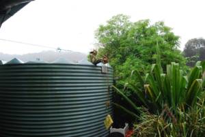 Len The Plumber blog rainwater harvesting