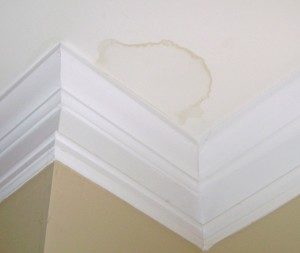 Common Water Leaks In House