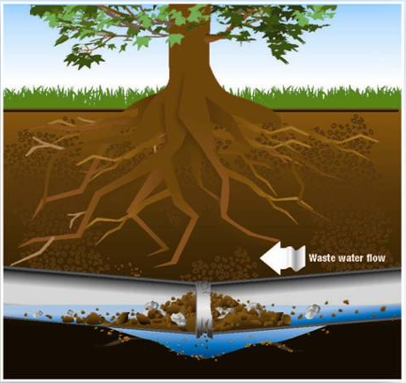 sewer line repair lancaster oh