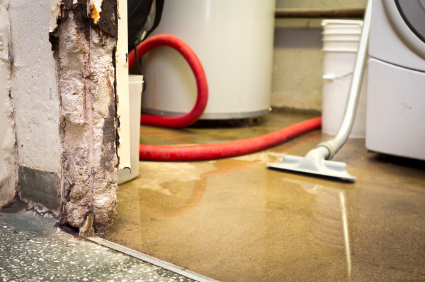 Water damaged wall in basement with shop vac hose next to puddle of water.