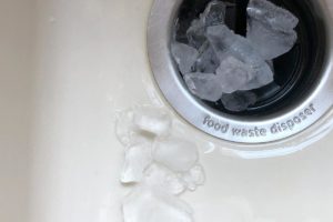 Ice cubes in garbage disposal